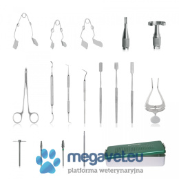 Dental tools